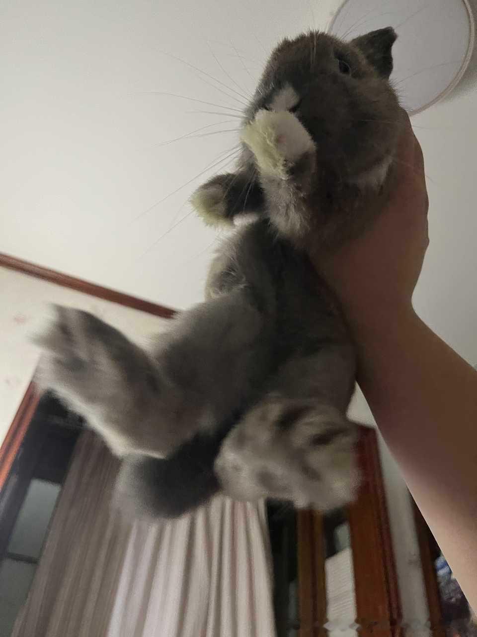 13549🐇【】给大家看看雷霆大脚板 