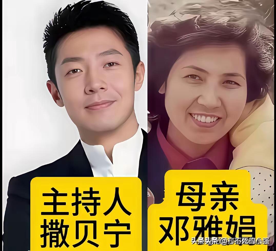 王铎：这个撒主持，似乎不如他妈妈好看。