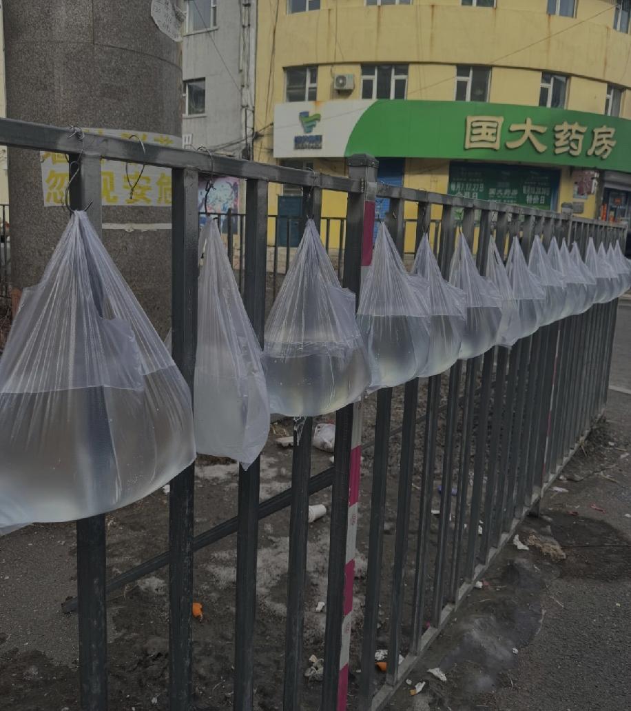 在吉林街头看到一幕，实在让人摸不着头脑。大冬天的，外头到处都是冰天雪地，可路边却