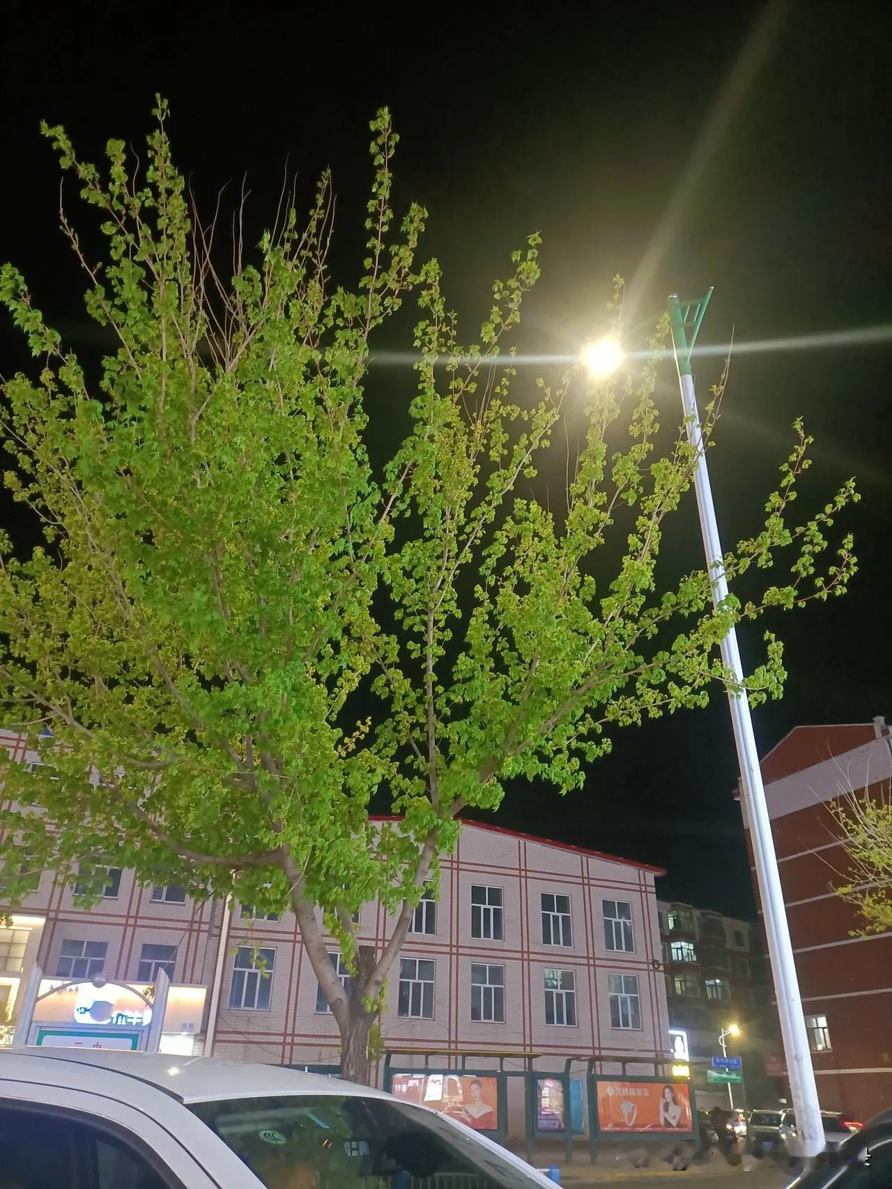 最想成为男人的时候
就是晚上下班回家
别的不说
要洗脸
要刷牙
不洗澡的话
要洗