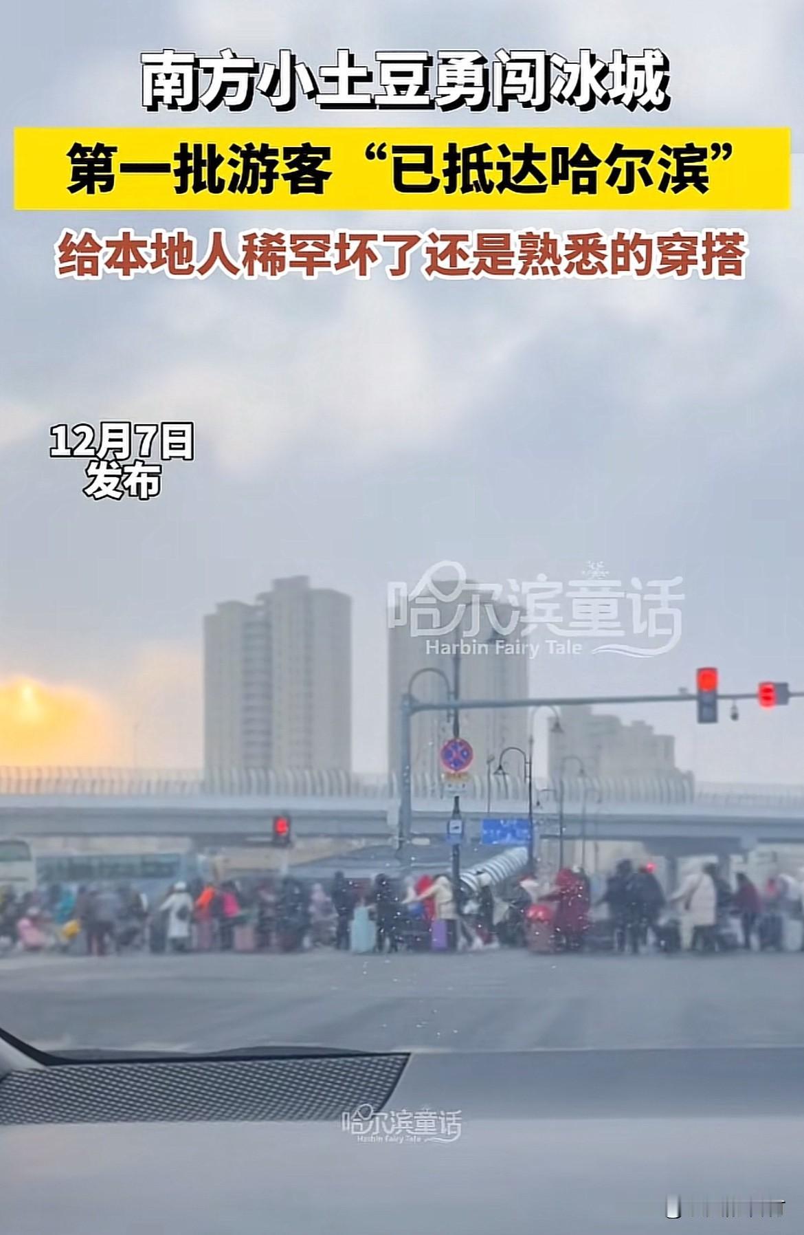 南方小土豆勇闯哈尔滨。
第一批游客已经到了。和去年的穿搭一样。
给当地人稀罕坏了