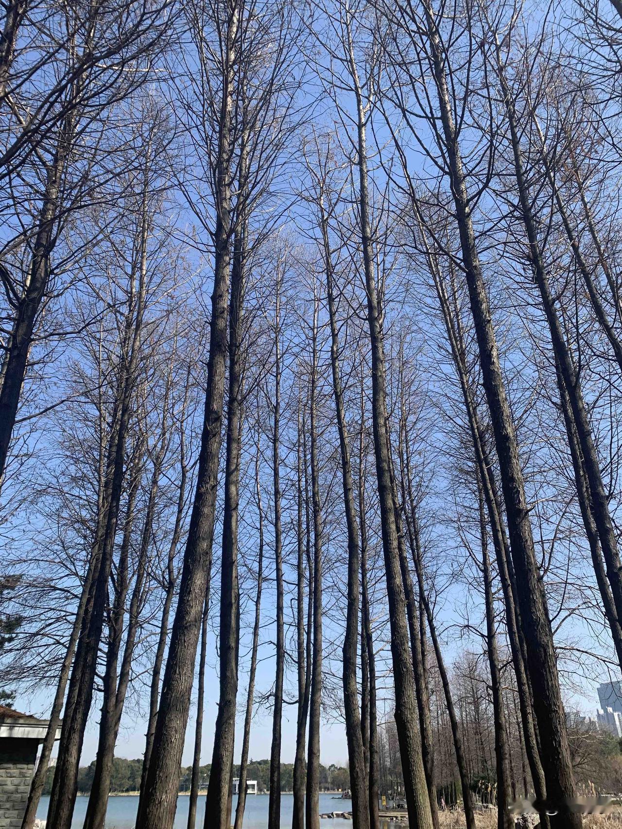 刚看到评论区有粉丝留言，他同学的哥哥当年遇到一女的，用自杀来威胁男的娶她。哎，遇