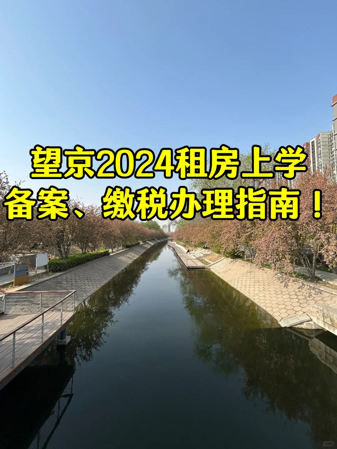 租房上学的人越来越多了！