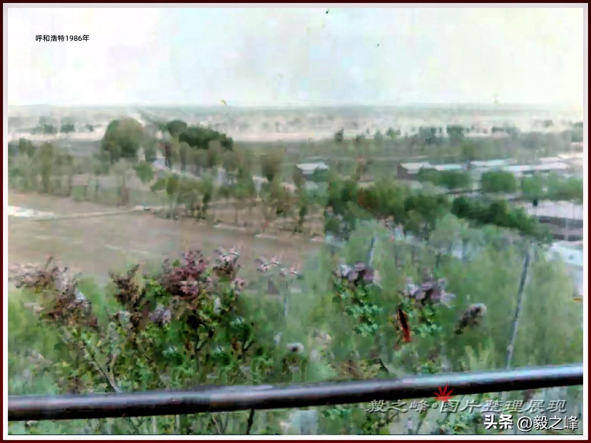 呼市话“椟挑”你知道普通话怎么说？
呼市人专属记忆 这是来自1986年呼和浩特一