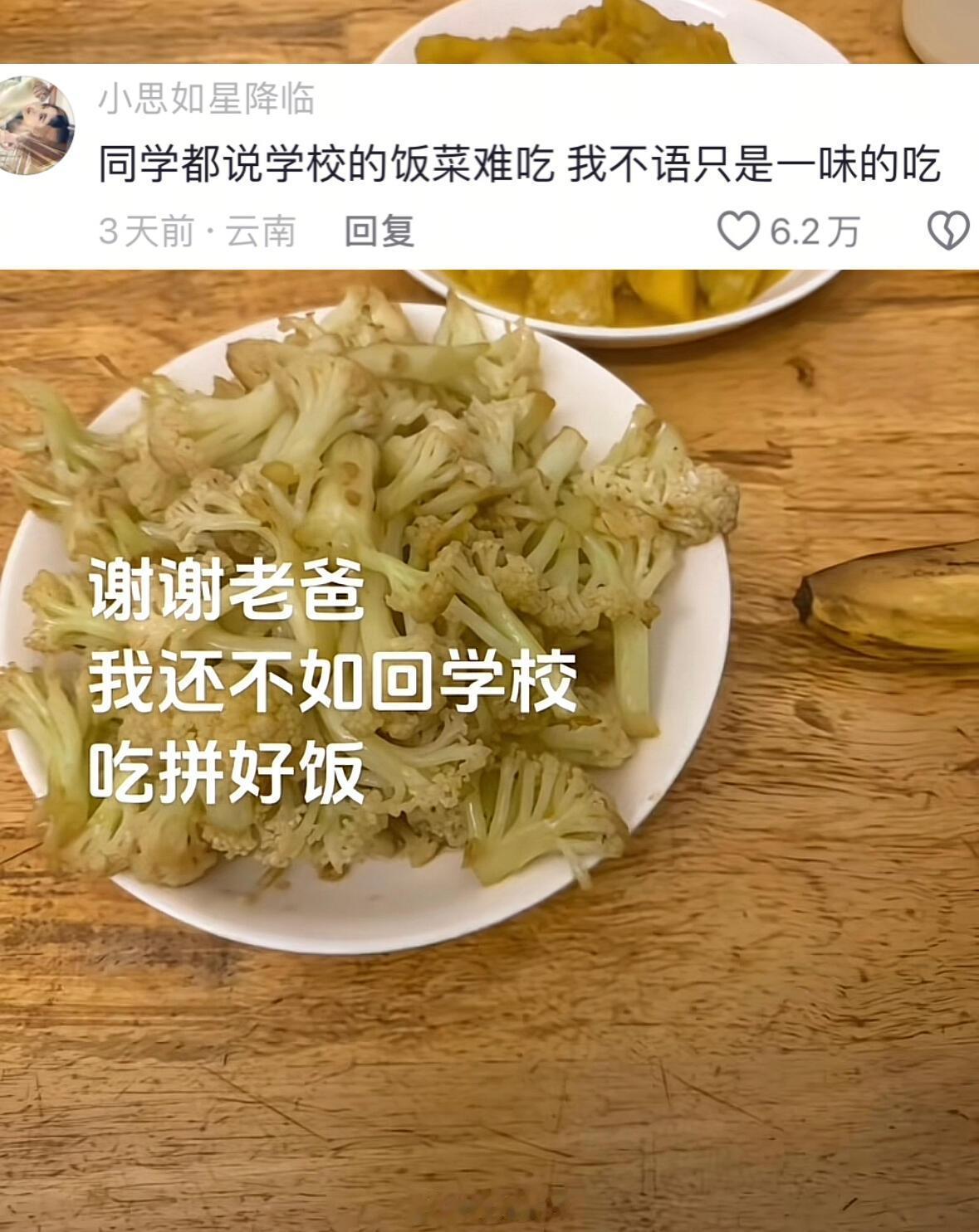 上大学是为了不吃父母做的饭校园共创计划宝藏大学安利计划