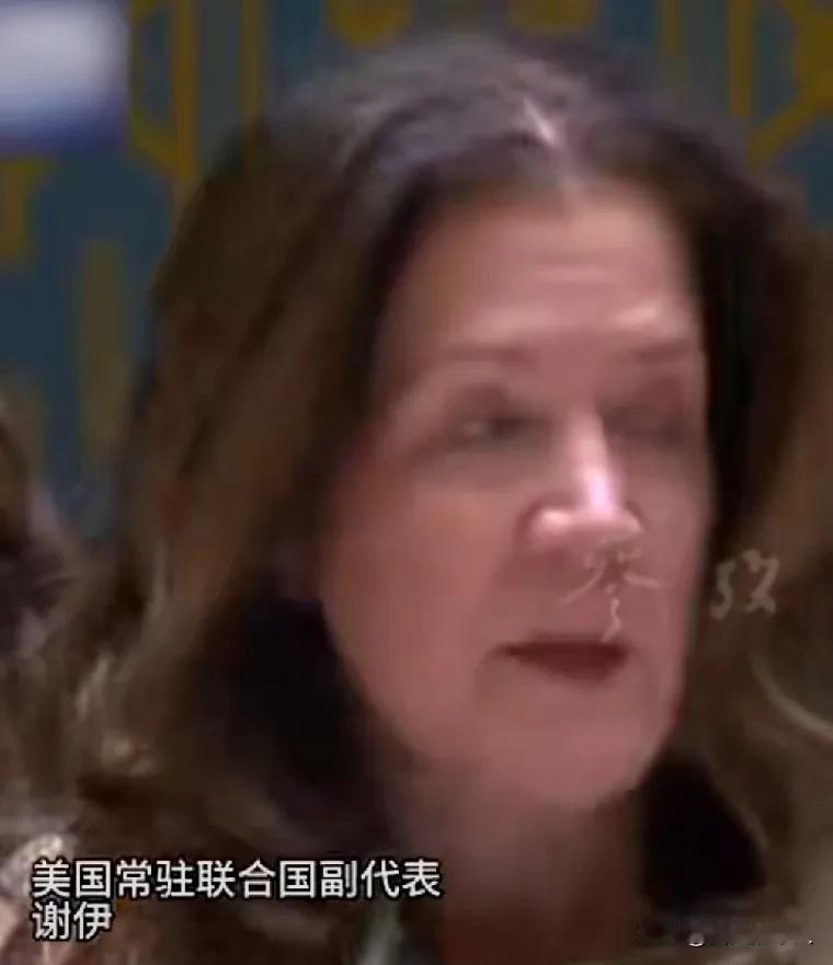 “你的发言格格不入！”耿爽怒怼美国代表就是霸气！这就是美国常驻联合国的副代表谢伊