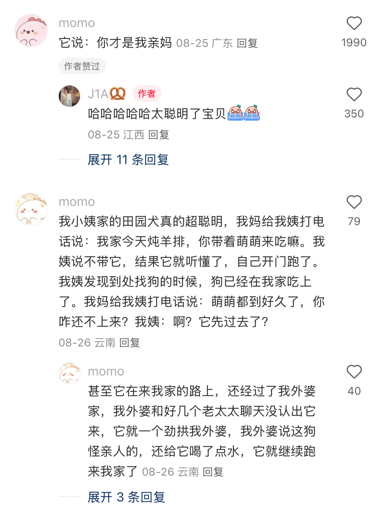 中华田园犬真的太聪明了 ​​​