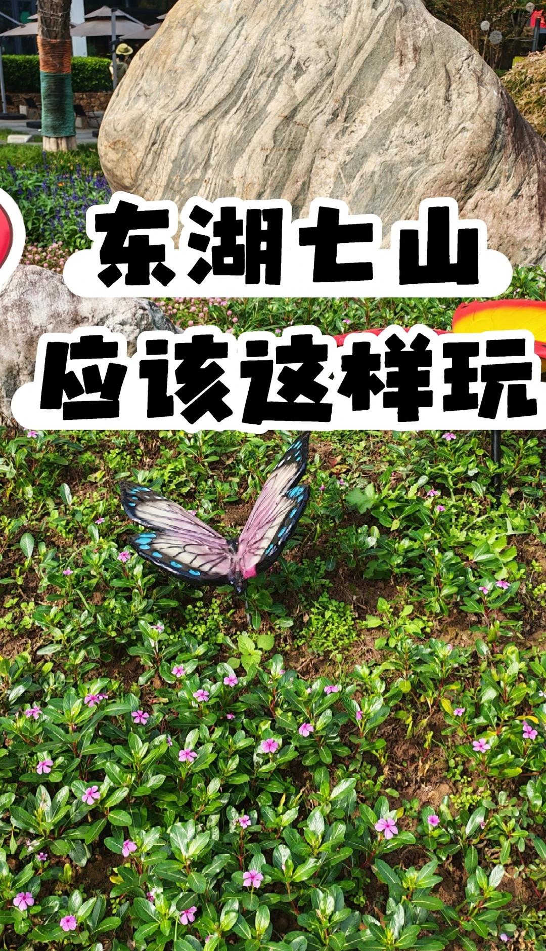 东湖七山连纵徒步攻略✨小白&亲子都能冲
武汉本地人私藏！
谁懂啊！在武汉市区藏着