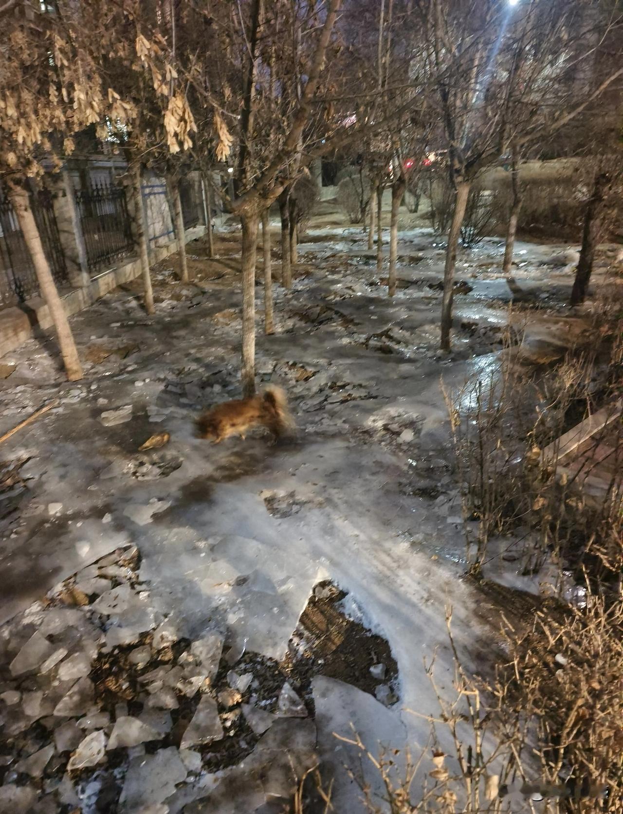 2025年，过得非常快，没感觉出来怎么回事，一年就匆匆过去了，回顾过去的一年，最