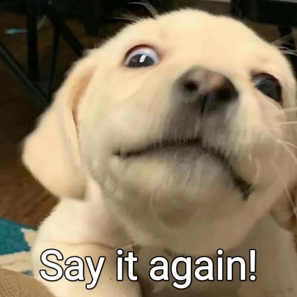 恋爱脑的问题真不是爱上了什么不靠谱的人就讲我如此众多的恋爱脑学员，不管是恋爱关系