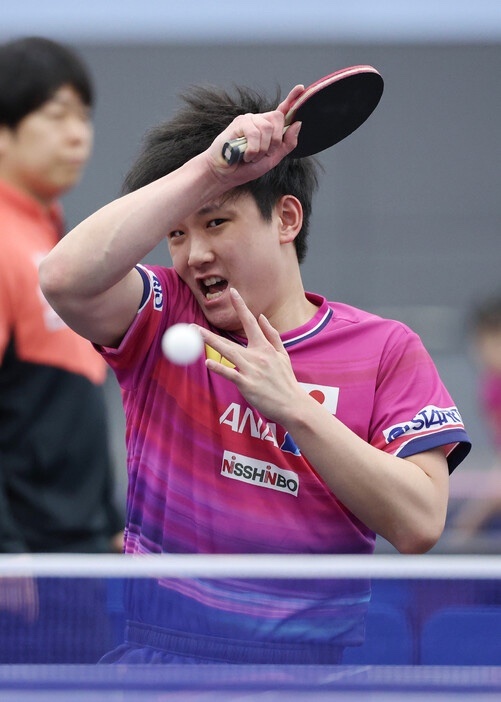 张本智和张本智和2026年伦敦世乒赛 公开训练&记者会媒体图片集📷图1-3: 