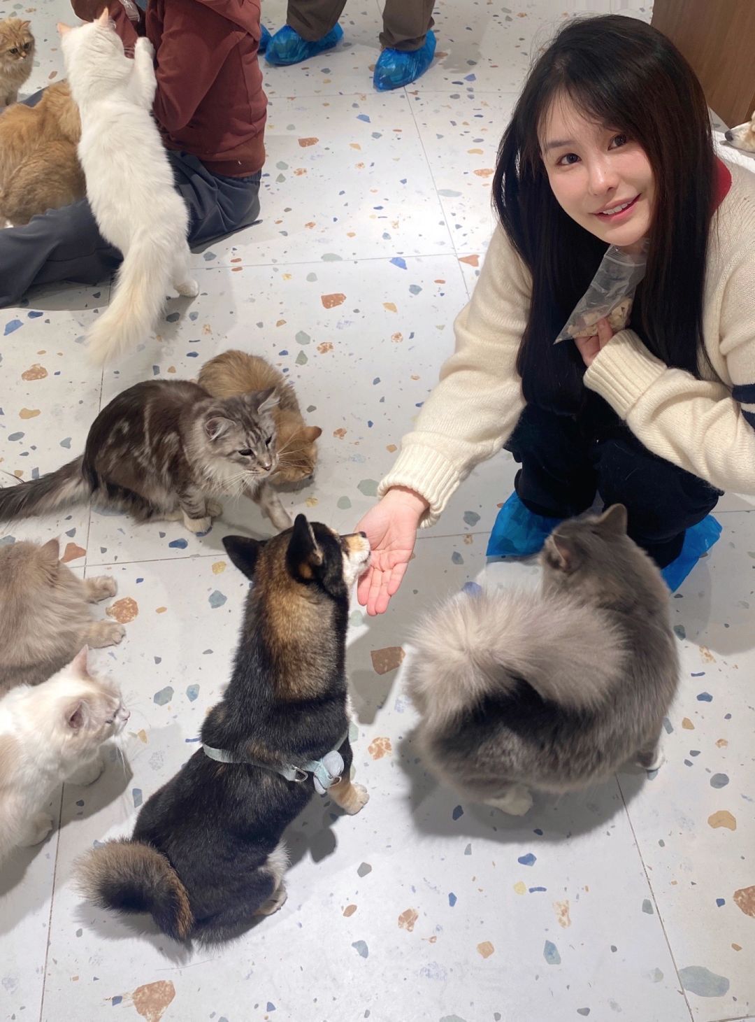 北京昌平｜沙河玖耀里  拾忆猫咖🐱