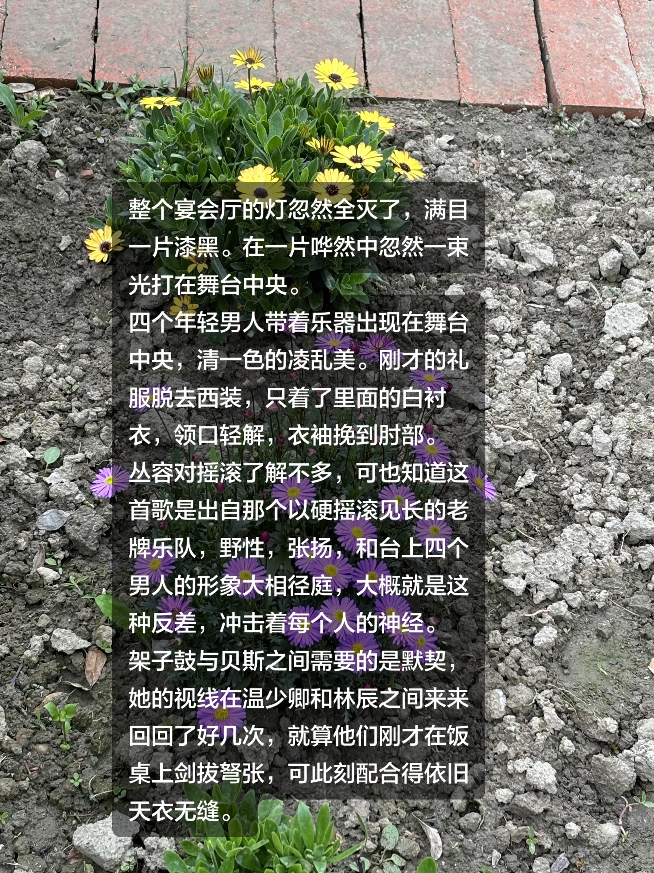 回复  温少卿是架子鼓，林辰是贝斯，萧子渊是吉他，那请问乔裕是什么？
