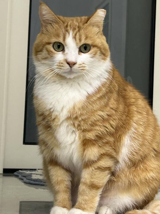 根据照片推测主包拍照姿势