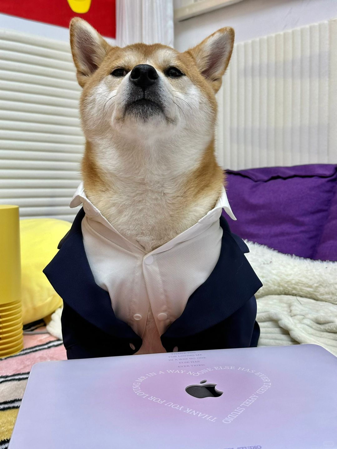 气质型男