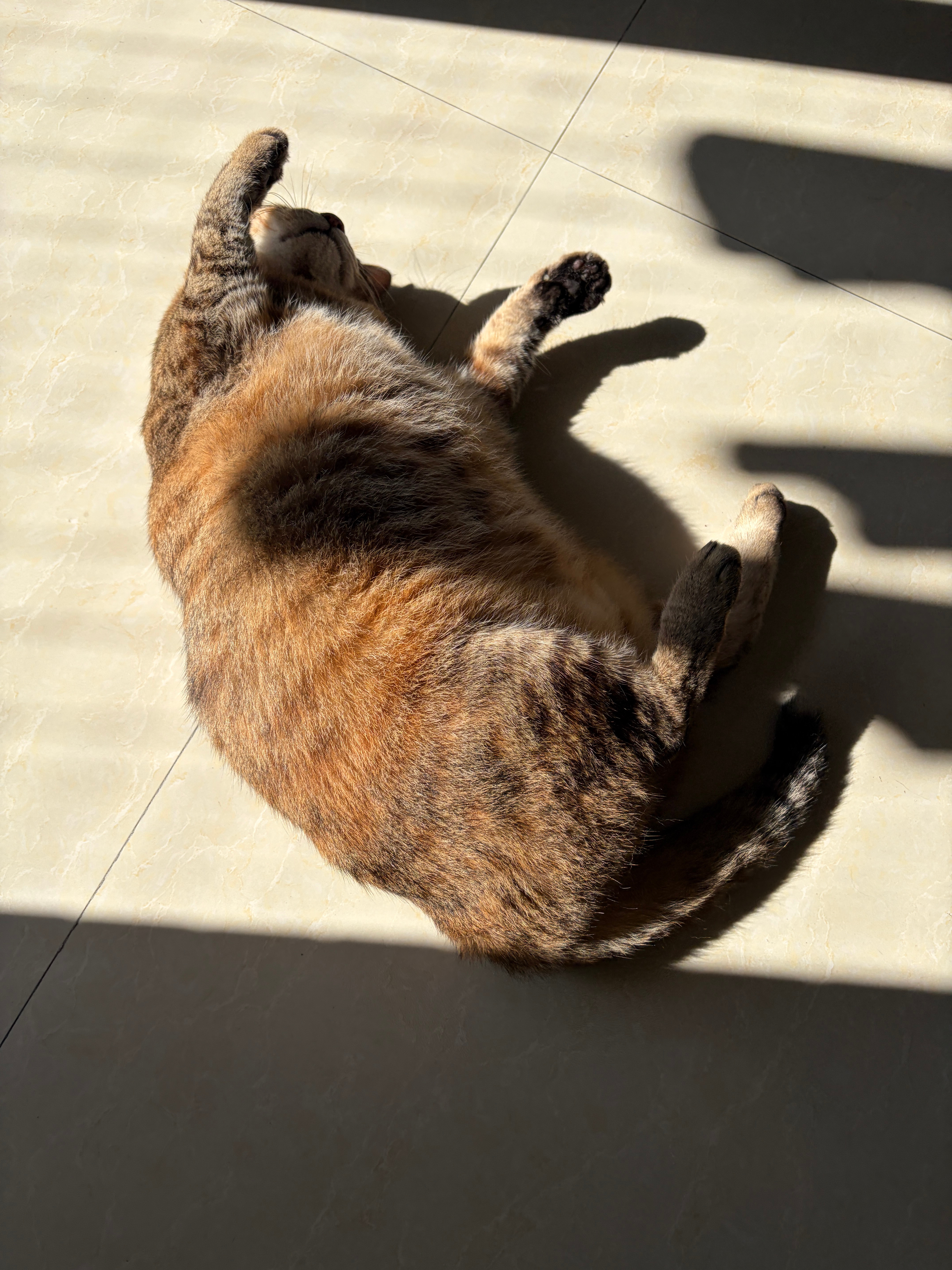 🌞 