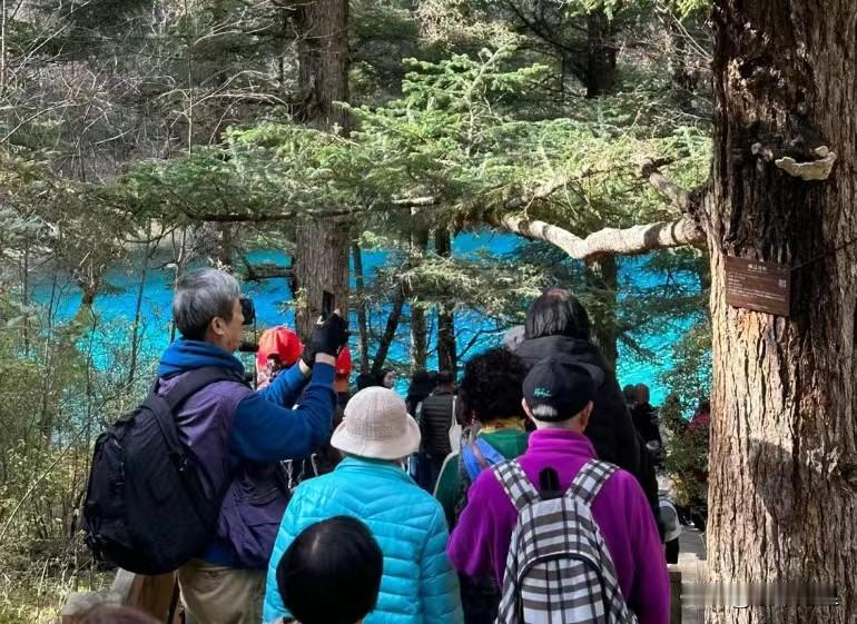 “太丢人了！”日本6名退休老教授，跨越3000多公里来到甘肃，观赏敦煌莫高窟，还