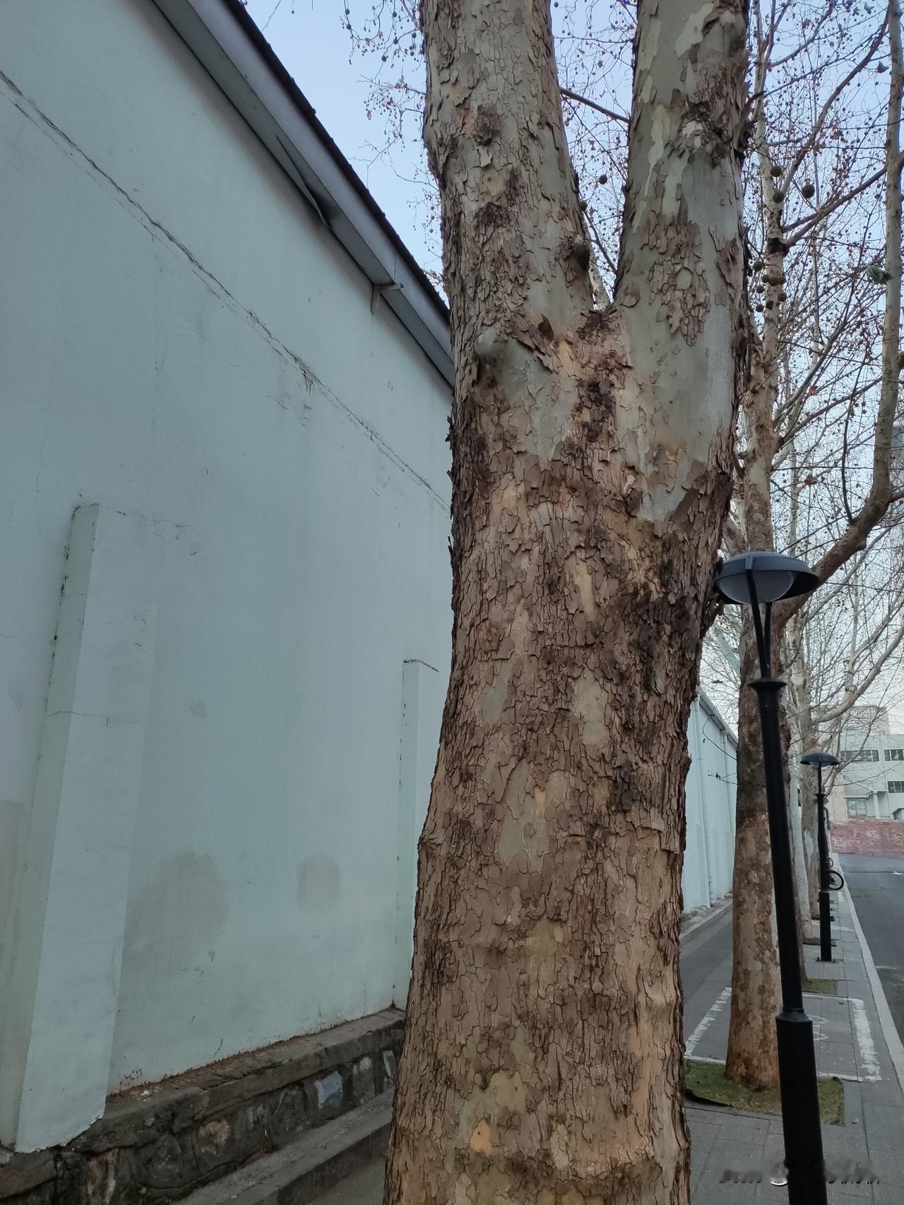 记得过去自己也在网易上开过博客，这几年随着微信视频，抖音等兴起，早都忘了什么博客