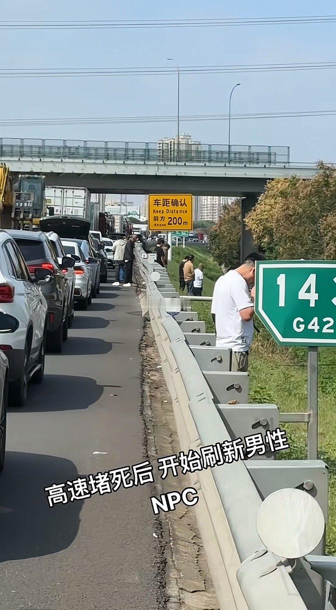 猫尿了知道埋起来 狗还会找个树底下尿 ​​​