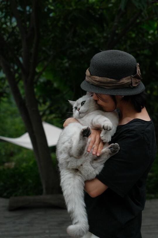 小猫咪和妈妈拍合照噜