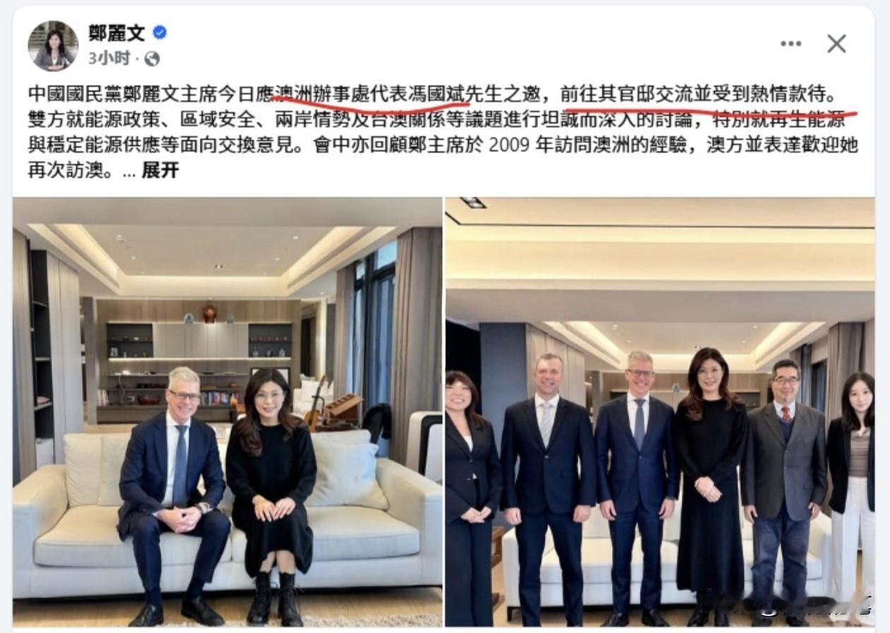 郑丽文跑去与驻台湾的澳洲办事处与澳洲代表见面了，这时候的国民党这些人把平时对大陆