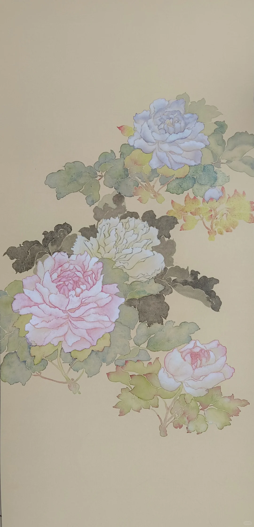 慢慢画