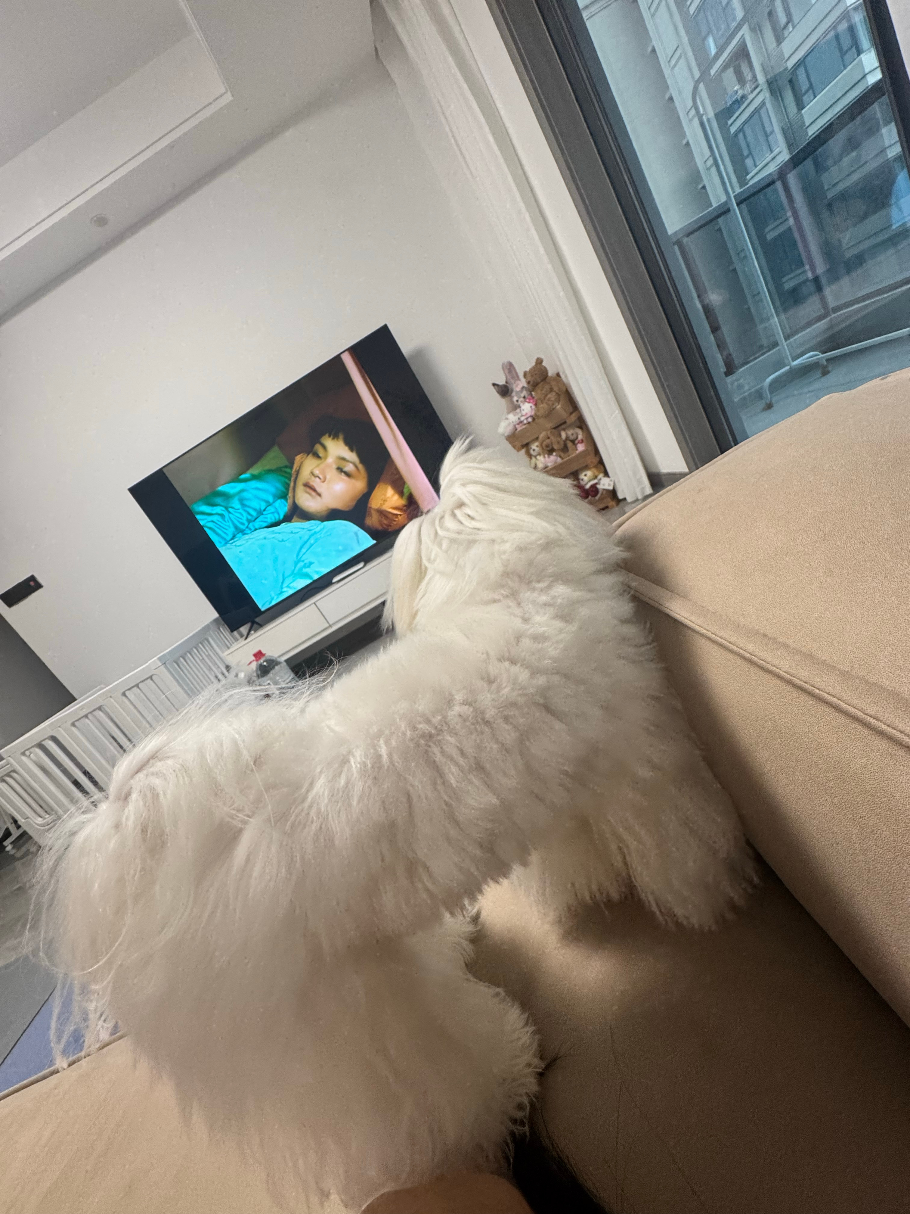 我们在看红楼梦 ​​​