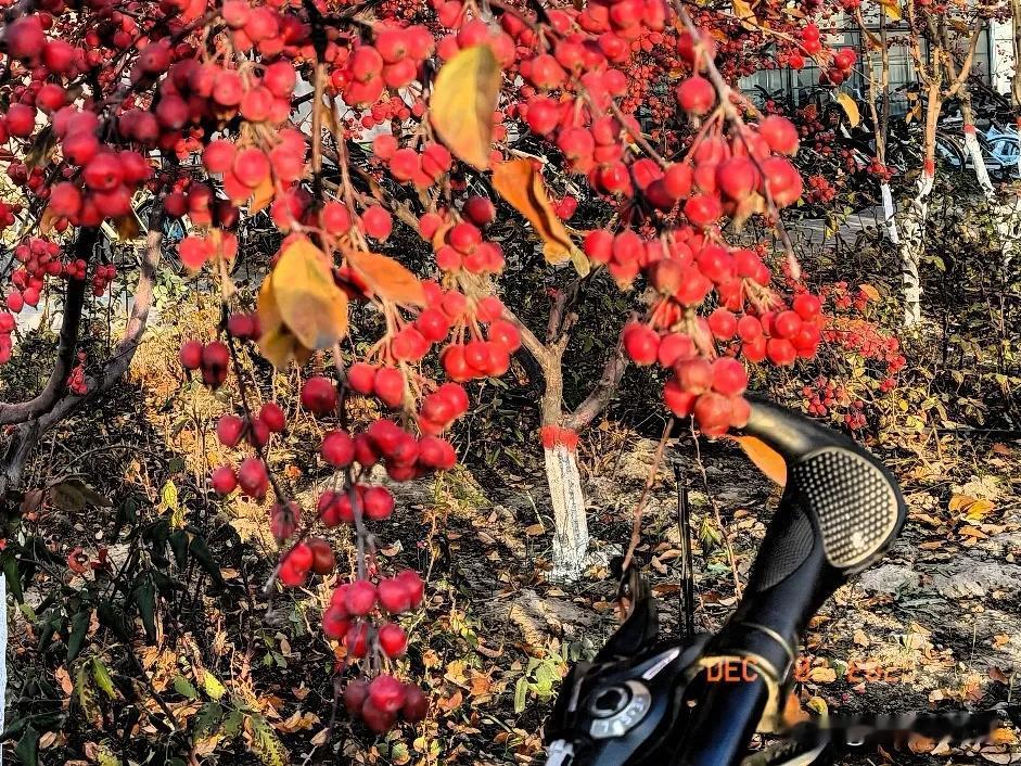 真的是花钱容易挣钱难
尤其是动不动就感冒咳嗽的冬天
辛辛苦苦干一天挣得百十块
结