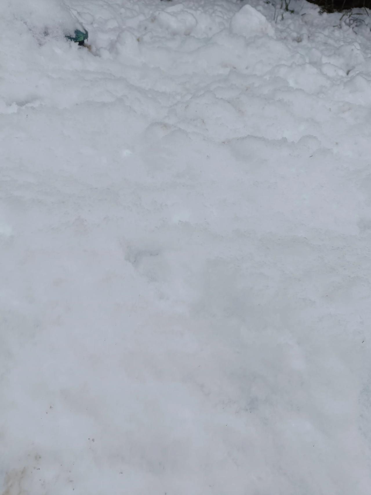 这雪下的真不小啊，又是周末，真是赏雪的好机会啊，真的是太漂亮了啊！