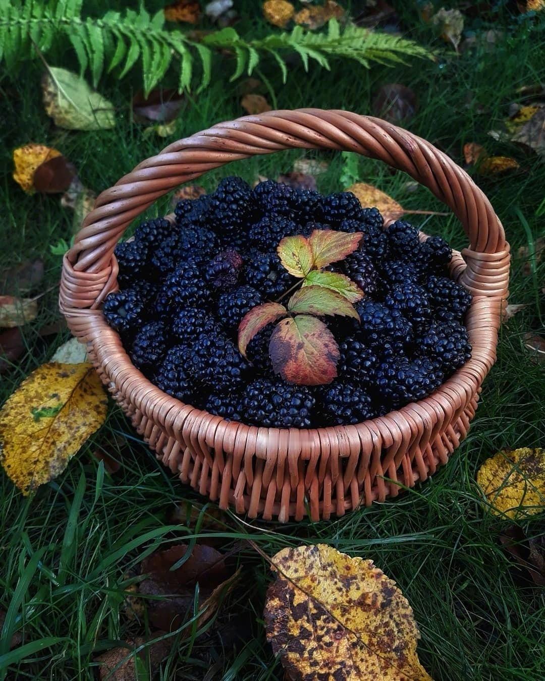 我看你们叫的很大声的几乎都是最近才来，或者上月底来的，那又何苦，早干嘛去了？一直
