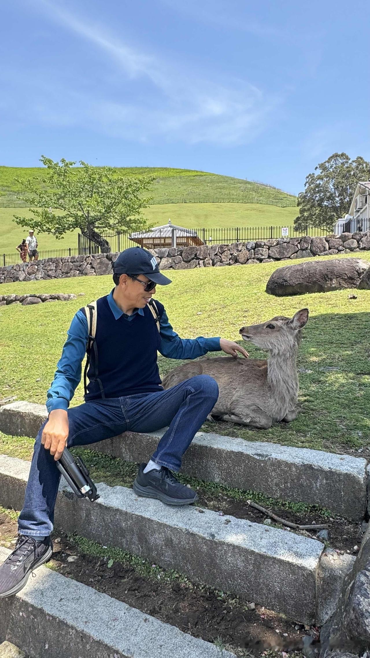 白日闲游奈良，傍晚遭遇惊魂。

到大阪该办的事都办妥了，剩下的就是美食美景了，美