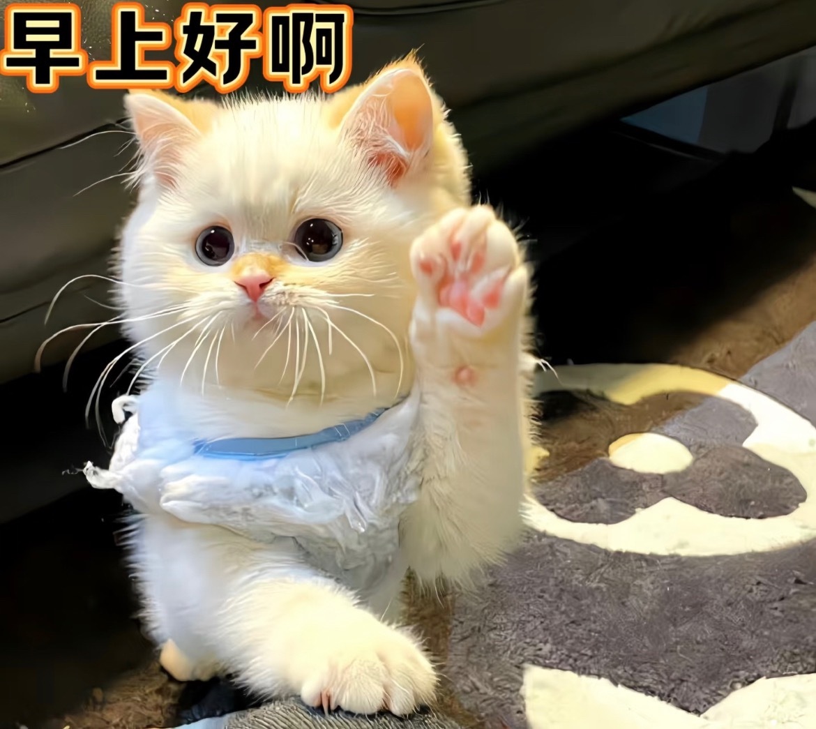 早！足不出户可以听到北京的大风，又到了起床靠爆发力的时候了家人们记得添衣保暖！