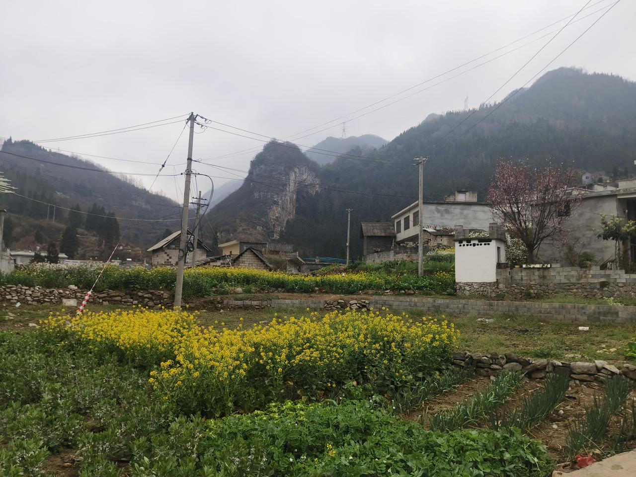 贵州办酸汤学院有何不可？
只要有人学
能就业
贵州历史很久，是人类发源地之一
有