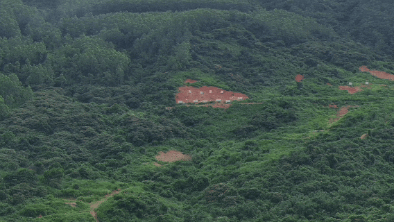 央视画面：东部战区陆军第73集团军某中型数字化合成营，“三剑客”火力全开，08式