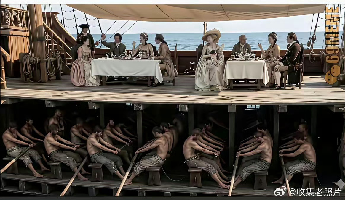 文明的真相！热点观点