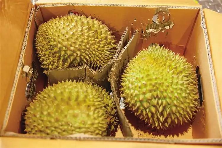 今年榴莲狂跌三成：汤泉馆抢推畅吃套餐，我们真实现自由了？
这个五月，最火的不是假