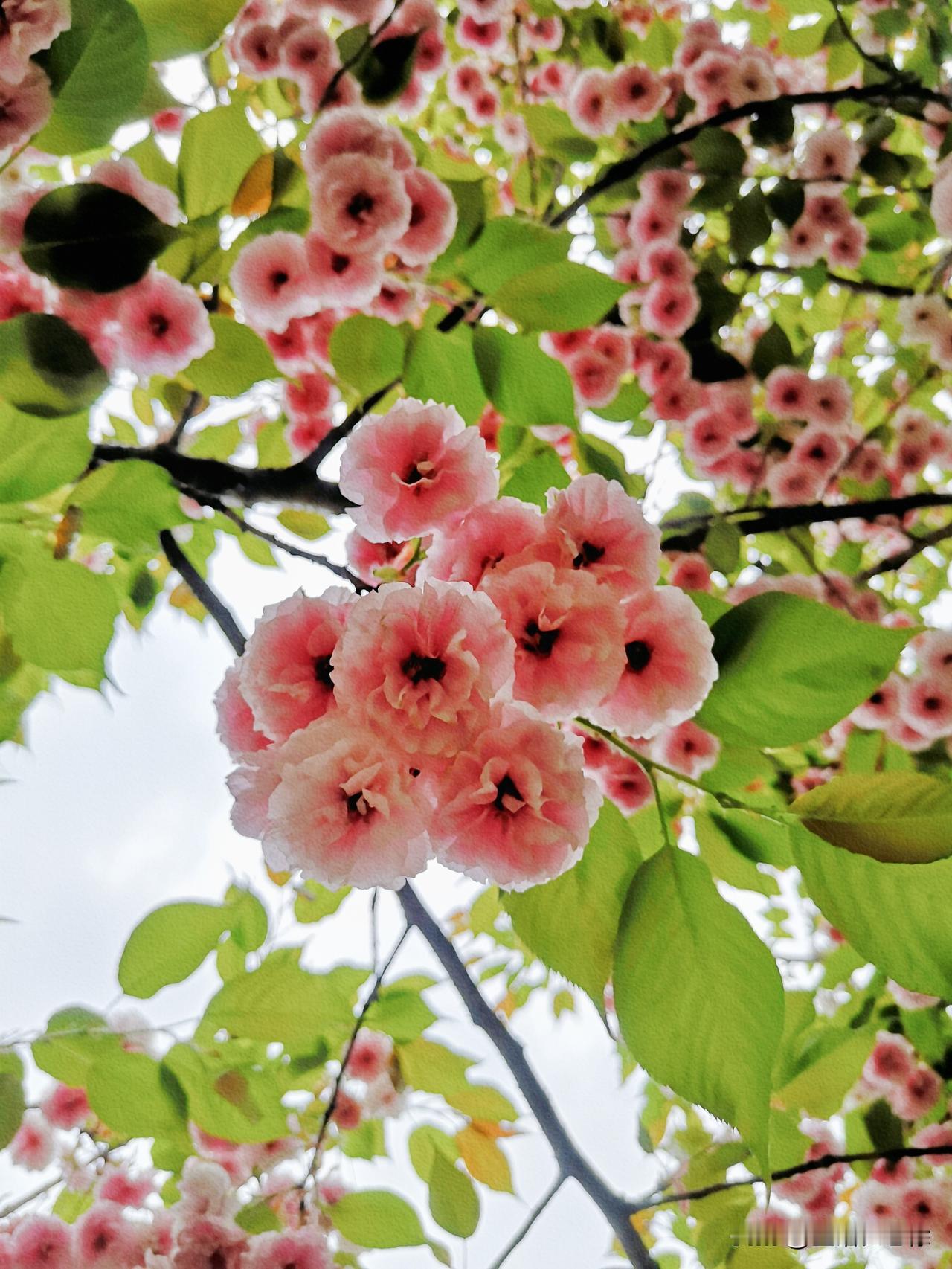 医药代表们再也回不去的生活

医药代表的存在属于一个灰色地带，这层灰色的利益链条