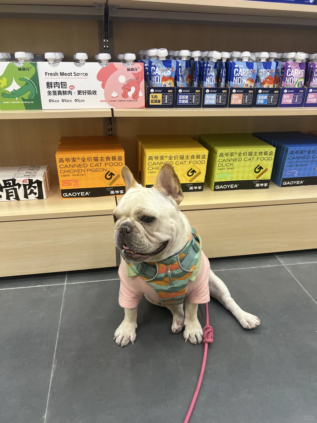 带狗逛超市啦～