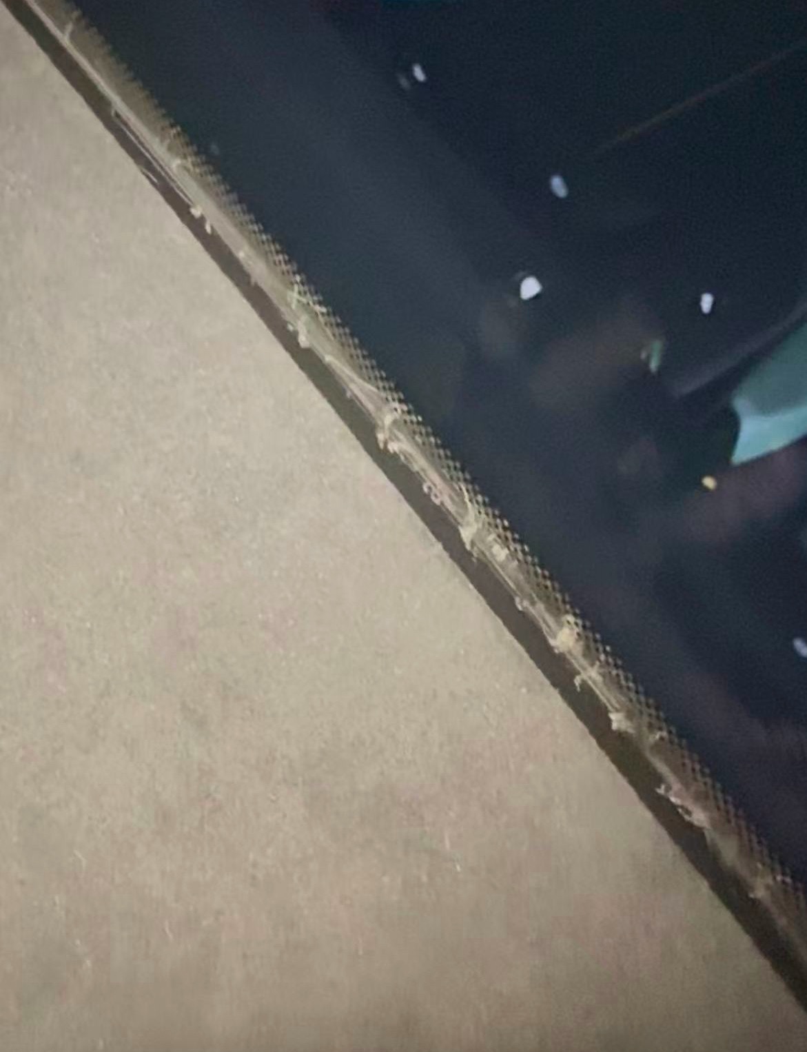 蓄意去破坏展车…这种行为不可取。2026北京车展