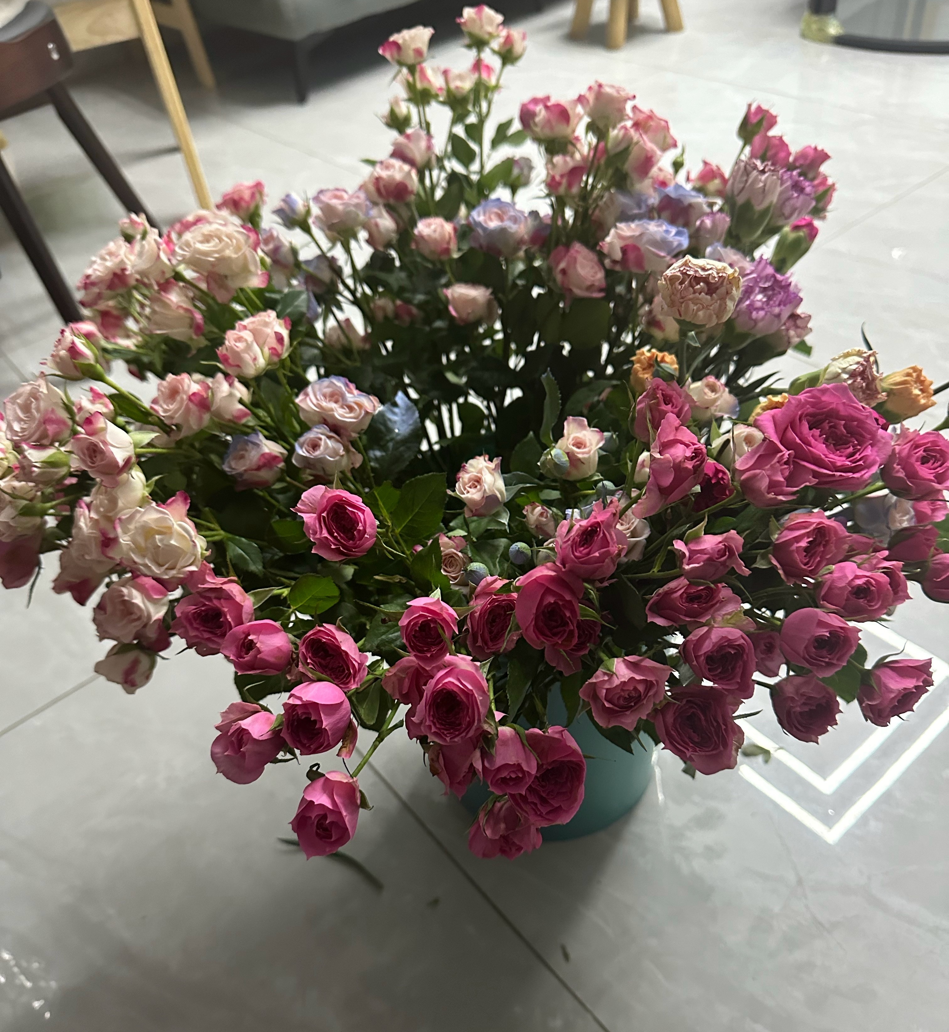 ᴹᴼᴿᴺᴵᴺᴳ🌿🌸像日出一样，所有的一切都越来越好ᵕ̈🌵 