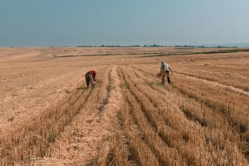 写文章收益少要不要坚持，这真是个让人纠结的问题。就像有位农村老太太，孩子工作稳定