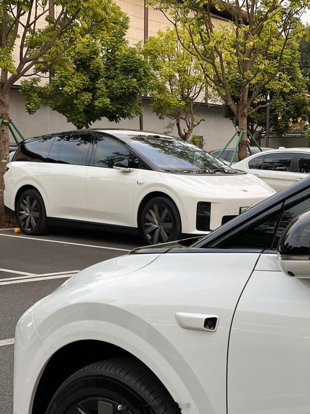 深圳街头的 开始多起来了！ 