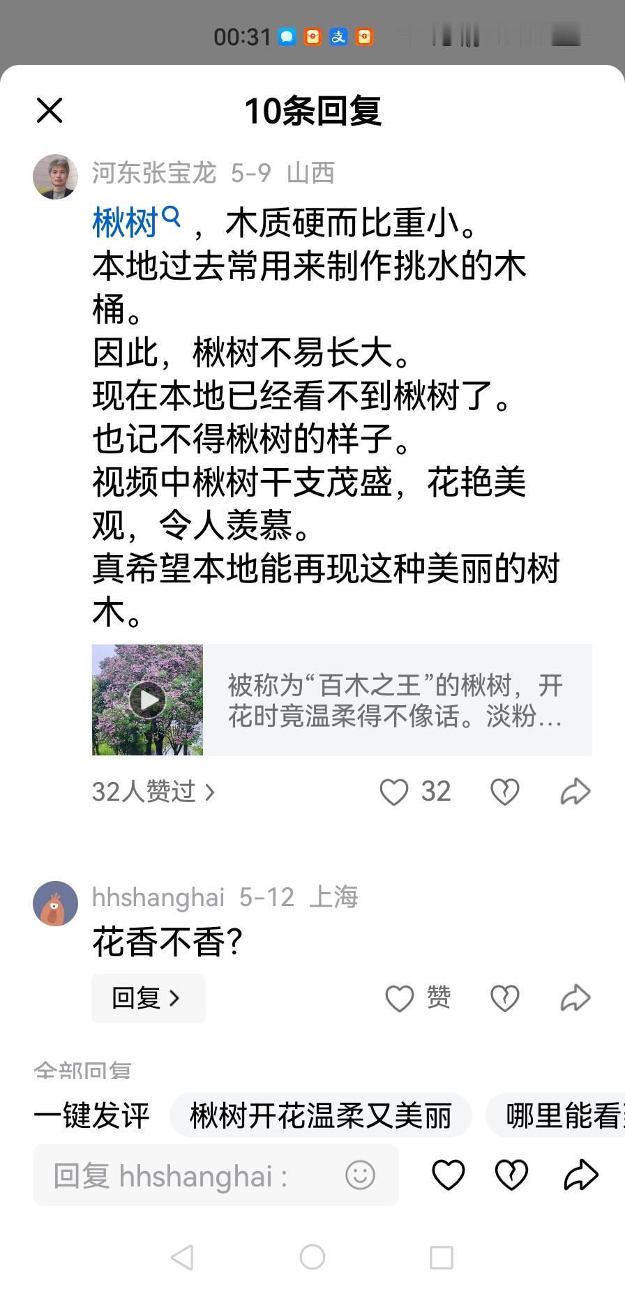 来自上海的条友问，（楸树）花香不香？

思考了一下，作了如下回答：

楸树的花到