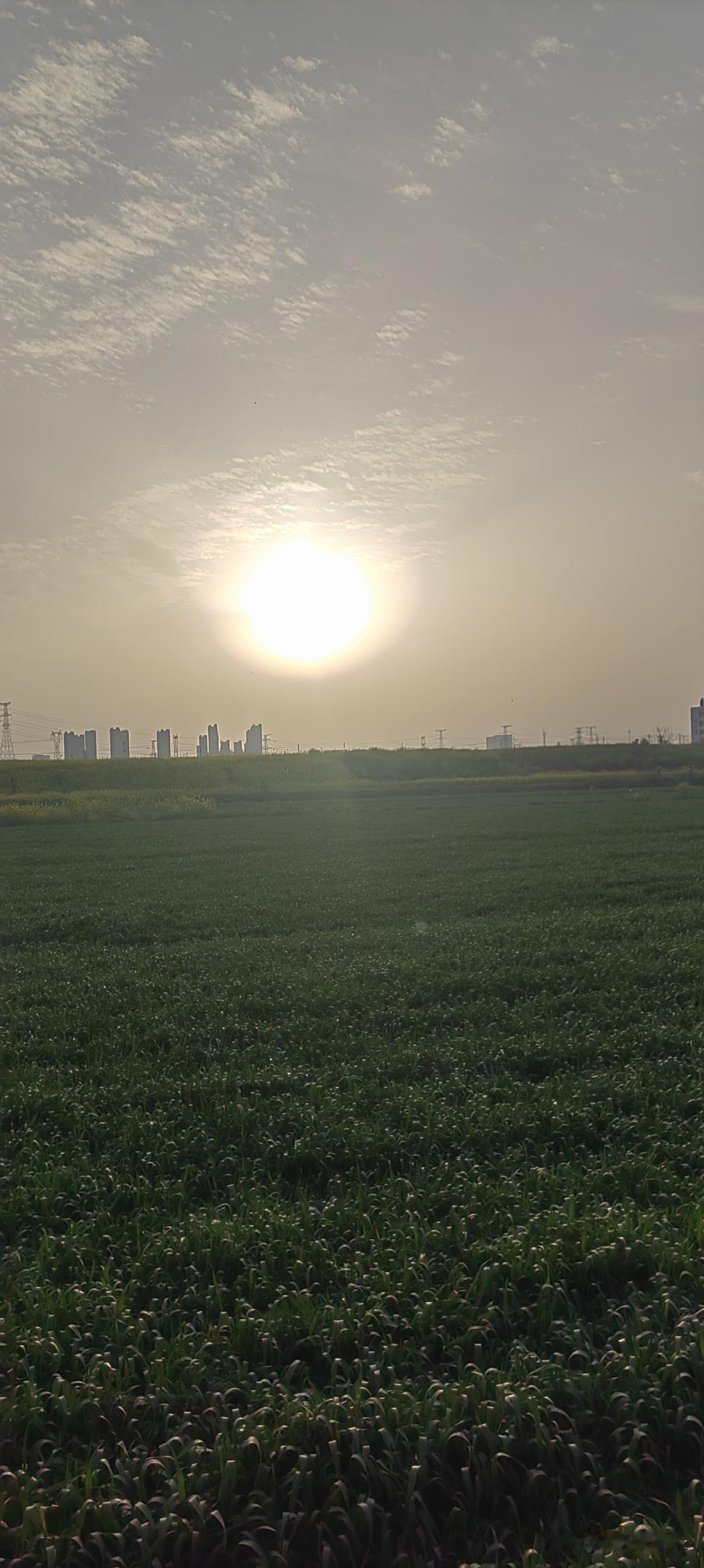 现在人的婚恋观，完全是颠覆的。以前人结婚，是继承香火，延续血脉，壮大家族的发展。