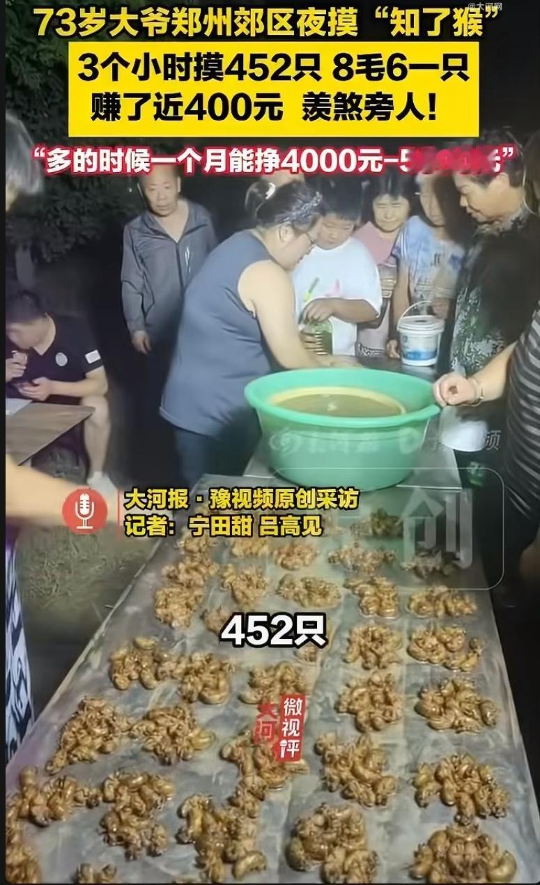 郑州郊区，夏夜小树林里手电光闪烁，村民摸知了猴卖钱。商贩收购八毛六一只，72岁大