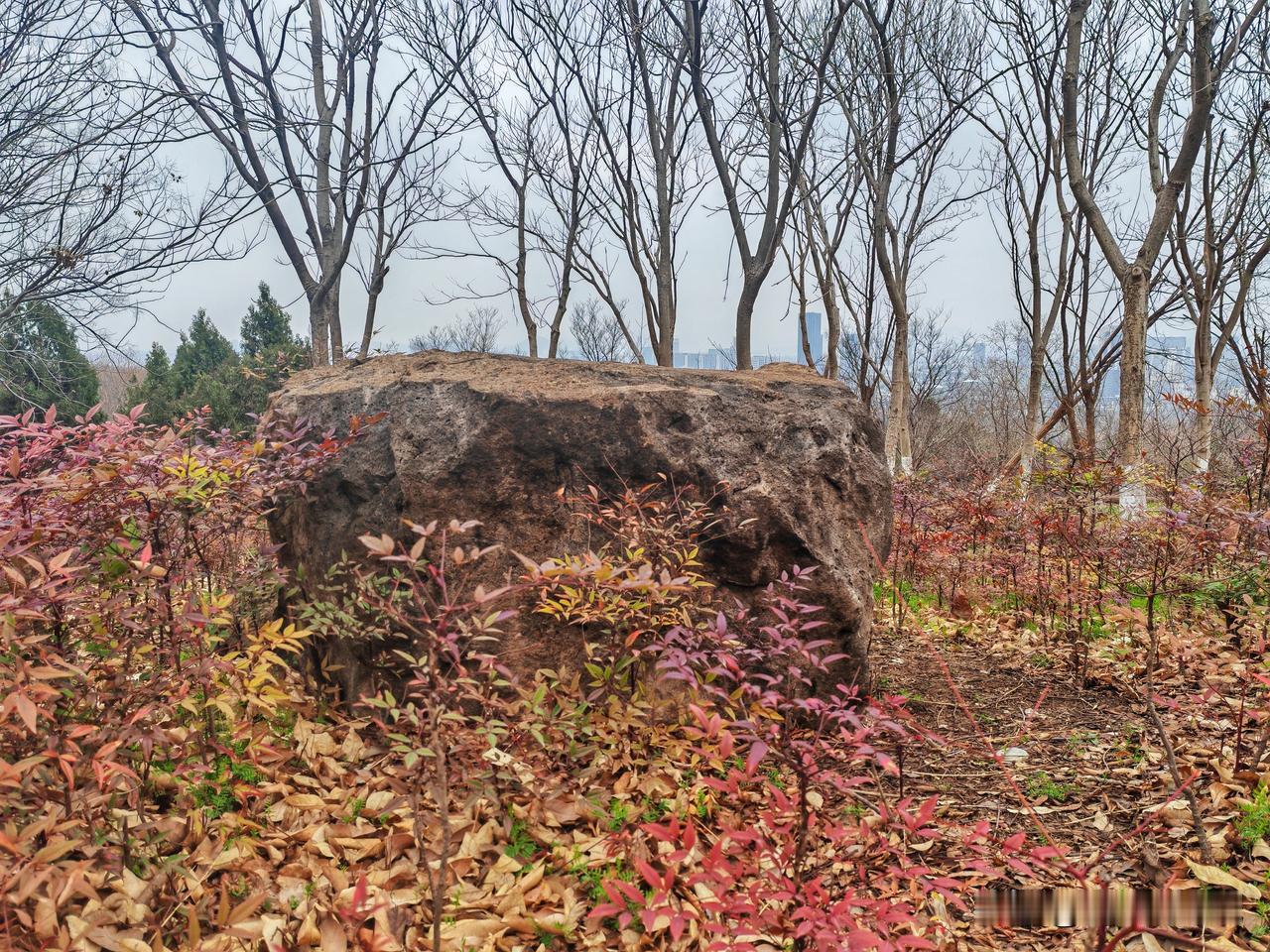 冬日的小山，是沉默的，光秃的枝干刺向灰白的天空，像无数支凝固的笔，写不出一个字。