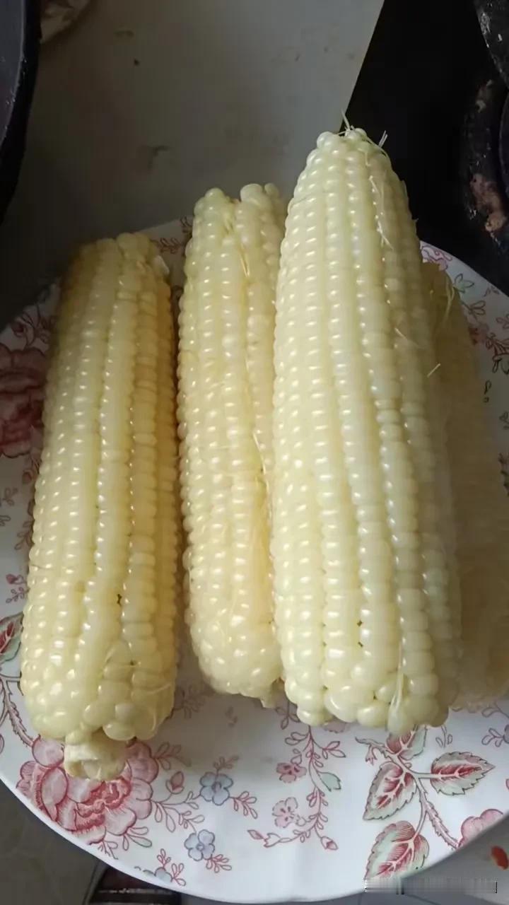 记录我的2026今天从超市买的甜玉米，超级好吃，太香了哟！[呲牙]只可惜太贵，现