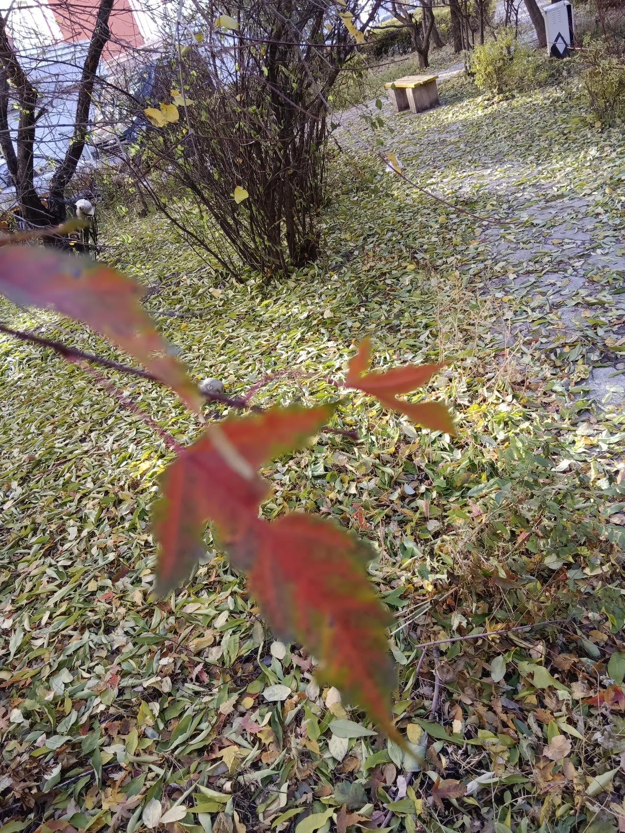 告诉你5句话:

运动可以改变健康

自律可以改变形象

真心可以改变关系
