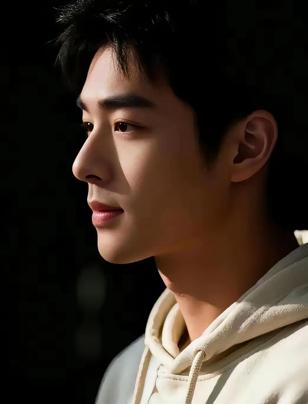 美男子首先要有一个高翘挺立又直又高的鼻子，鼻子作为五官之王，处于整个面部的C位正