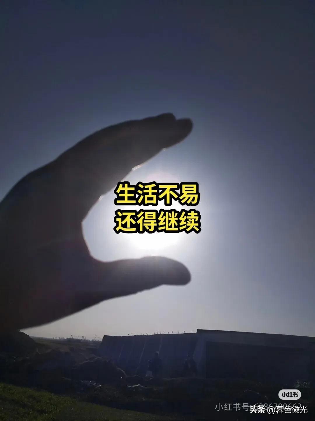 成年人的世界，从来没有“容易”二字。
谁不是一边崩溃一边自愈，一边辛苦一边坚持。